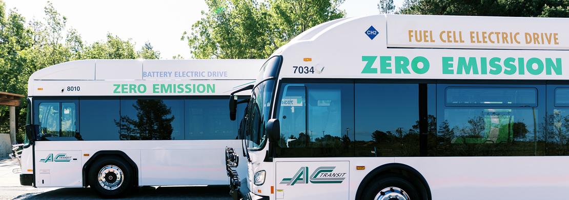 Two Zero Emission Buses